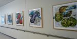 Our Farmers' Treasures | Paintings by Eileen Downes | Kaiser Permanente Vallejo Medical Center in Vallejo
