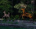 Whitetail Crossing | Public Sculptures by Wendy Klemperer Art Inc | Deer Park Playground in Newport News. Item composed of steel