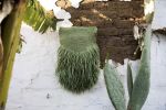 Seed No.099: The Green Story | Tapestry in Wall Hangings by Taiana. Item composed of fabric and fiber