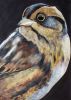 Robin, Fox, Fox & Kit and Sparrow | Oil And Acrylic Painting in Paintings by Natalie Jo Wright | Wendigo in Stoughton. Item made of canvas with paper