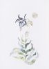 Flora III | Prints by Ruth Le Roux. Item made of paper