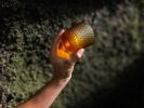 Metamorphosis Glass 200ml | Drinkware by Rückl