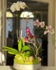Orchid Arrangement | Floral Arrangements by Fleurina Designs