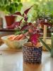 Small planter | Vases & Vessels by Anna Broström Ek