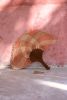 Hand woven Fan | Ornament in Decorative Objects by P.I.Project. Item made of wood works with boho & mediterranean style