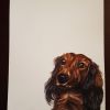Theme: Pet portraits | Paintings by Yamini Reddy