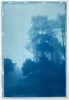 Caminante No Hay Camino (35x23" hand-printed cyanotype, 1/3) | Photography by Christine So. Item composed of paper in country & farmhouse or rustic style