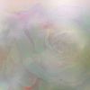 Shy Moon; A Rose in the Ocean; Annunciation | Paintings by FitzgeraldArt