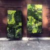 And into the forest I go, to lose my mind and find my soul. | Wall Sculpture in Wall Hangings by Mona King