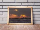 Dialog | Limited Edition Print | Photography by Tal Paz-Fridman | Limited Edition Photography. Item made of paper works with country & farmhouse & coastal style