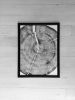 Set of 9 Tree Ring Prints | Prints by Erik Linton. Item made of paper