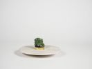 Orbita - 200 | Ornament in Decorative Objects by gumdesign. Item made of brass works with contemporary style