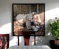Elephant Lying Down - oil painting | Oil And Acrylic Painting in Paintings by Melissa Patel. Item made of canvas & synthetic