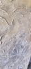 Quiet Bloom - Sculptural Wall Artwork | Wall Sculpture in Wall Hangings by Urban Plaster Bloom. Item composed of cement in minimalism or contemporary style