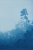 Misty Slope (18 x 24 inch hand-printed cyanotype0 | Photography by Christine So. Item made of cotton & paper compatible with boho and coastal style