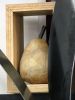 Pear in Time | Sculptures by Craig Robb. Item composed of wood and steel in contemporary or modern style
