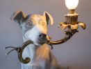 5 Minutes Alone (Dog with lamp) | Sculptures by MARCANTONIO. Item composed of brass and synthetic