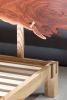 Wedgecrafted Bedframe | Bed Frame in Beds & Accessories by Kindred Furniture