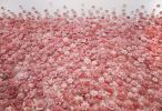 Pink Bliss | Wall Sculpture in Wall Hangings by Carson Fox Studio