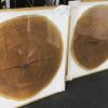 Tree Ring Wall Art Dendrochronology | Wall Sculpture in Wall Hangings by Fox Farm Design Build. Item made of wood compatible with country & farmhouse and industrial style