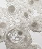 cell structures | Mixed Media by Tania Love. Item made of paper & synthetic