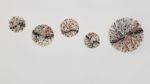 Oak of Autumn | Mixed Media in Paintings by Vero Gonzalez Ugarte. Item composed of linen and paper in contemporary style