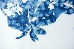 Spring Madrone V (30 x 22" cyanotype painting on paper) | Watercolor Painting in Paintings by Christine So. Item made of paper works with boho & country & farmhouse style