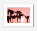 "PINK PALMS" | Photography by ANDREW LEVER. Item made of paper works with contemporary & coastal style