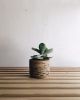 Small Handpainted Planter | Vases & Vessels by Sam Lee