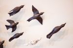 Murmurations 3, installation of clay birds | Wall Sculpture in Wall Hangings by Susan Hostetler Studio | Athenaeum in Alexandria. Item composed of ceramic
