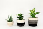 Black and White Half Stripe Bucket | Plants & Flowers by MOkun. Item made of cotton