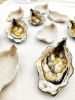 Ceramic Oyster | Decorative Plate in Decorative Objects by Federica Massimi Ceramics. Item made of ceramic works with coastal style