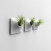 Modern Ceramic Wall Planter - Plant Wall Art - Node 3" | Living Wall in Plants & Landscape by Pandemic Design Studio. Item made of ceramic works with modern style