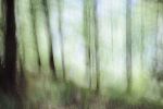 Forest Dream 0685 | Oil And Acrylic Painting in Paintings by Rica Belna. Item made of canvas with synthetic