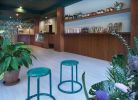 Interior Design | Interior Design by Sergio Mannino Studio | Wholesome Cuts in Brooklyn