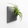 Node S Wall Planter, 6" Mid Century Modern Planter, Gray | Plant Hanger in Plants & Landscape by Pandemic Design Studio. Item made of stoneware compatible with minimalism and mid century modern style