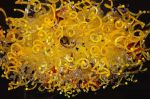 "The Kaduceus" ~ Glass Chandelier | Chandeliers by White Elk's Visions in Glass - Glass Artisan, Marty White Elk Holmes & COO, Jo Pierce