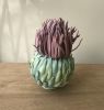 Untitled Plant 02 | Sculptures by Renee's Ceramics