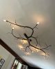 NewGROWTH branch mount chandeliers | Chandeliers by CP Lighting. Item composed of aluminum