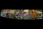 Gaea's Corner | Public Mosaics by Deirdre Saunder | Croydon Creek Nature Center in Rockville