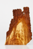 Dendritic Fire | Decorative Objects by Raulferc