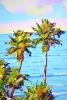 Palm trees. Ocean. California. | Oil And Acrylic Painting in Paintings by IRYNA KASTSOVA. Item made of canvas works with coastal & mediterranean style