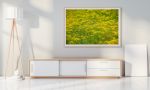 Yarrow, Sicily Digital-only offering exclusively for Trade | Photography by Caroyl La Barge›. Item made of canvas & paper compatible with contemporary and country & farmhouse style