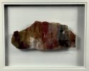 16x20 Framed Stone Artwork (Arizona Rainbow Petrified Wood) | Wall Hangings by Scott Gentry Sculpture, LLC. Item made of wood with stone works with contemporary style