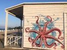 Octopus | Murals by JahOne