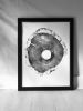 North Carolina Oak | Prints by Erik Linton. Item composed of paper