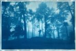 Sunrise Ridge (23 x 35" hand-printed cyanotype, ed. 1/3) | Photography by Christine So