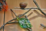 "Healing Forest" | Public Sculptures by Chris Nordin Studios | U Of M 23 Hour Hospital in Brighton