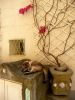 Pisolino del Gatto | Photography by KNOF design. Item works with contemporary & coastal style