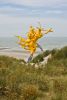 STUDIO NICK ERVINCK | Public Sculptures by STUDIO NICK ERVINCK. Item composed of steel